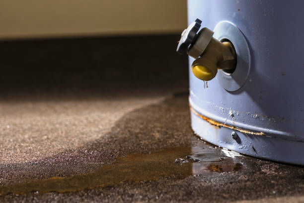 Best Mold removal after water damage  in Manana, HI