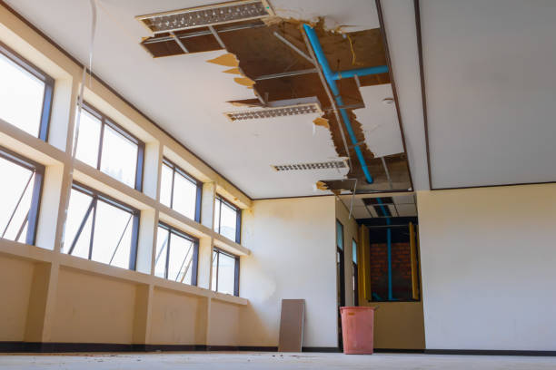 Best Flooded house restoration  in Manana, HI