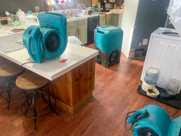 Best Water damage restoration near me  in Manana, HI