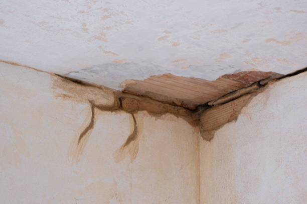 Water damage restoration insurance claims in HI