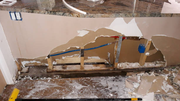 Best Water damage restoration process  in Manana, HI