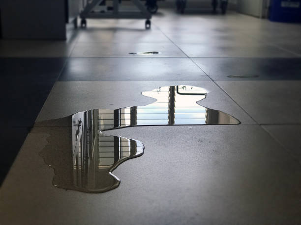 Best Emergency water damage restoration  in Manana, HI