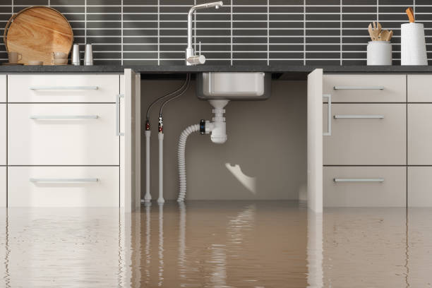 Reliable HI Water damage restoration Solutions