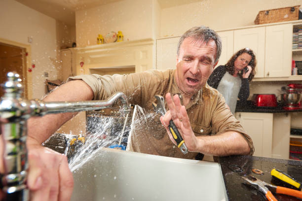 Best Water damage cleanup near me  in Manana, HI